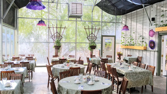 Джевелл Гарденс