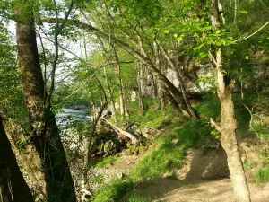 Muscatatuck Park