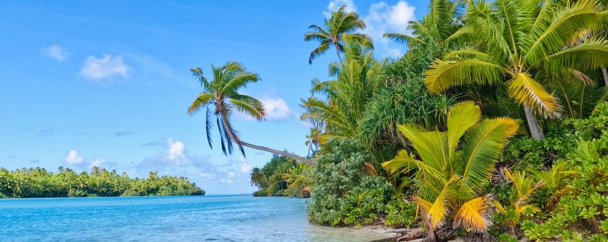 The Vaka Cruise