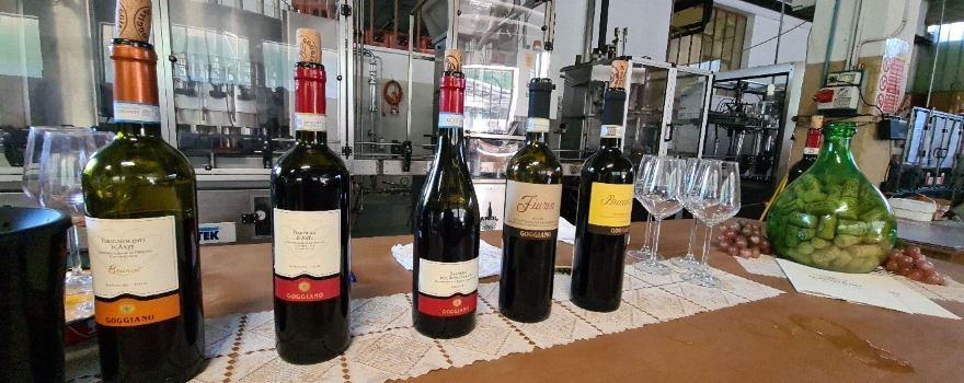 Goggiano Winery