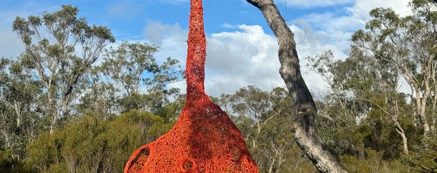 Understory Art & Nature Trail