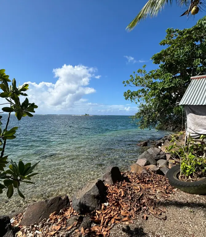 Matautu