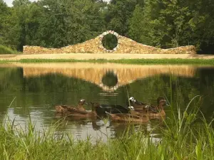 Mandala Gardens