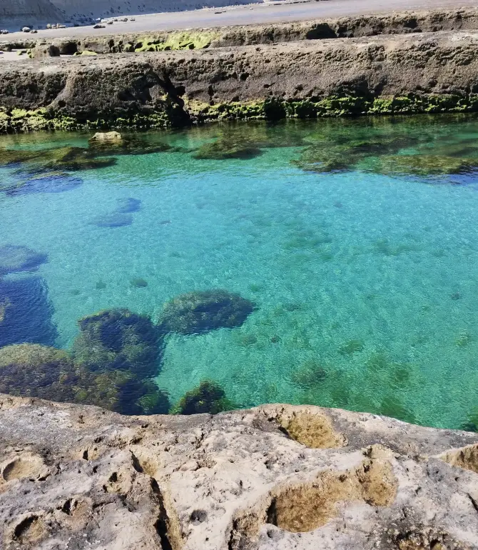 Puerto Pirámides