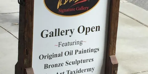 Dick Idol Signature Gallery