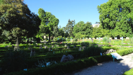 Arquebuse Botanical Garden
