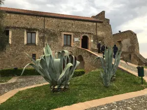 Museo del Cedro