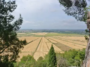 Oppidum d'Enserune