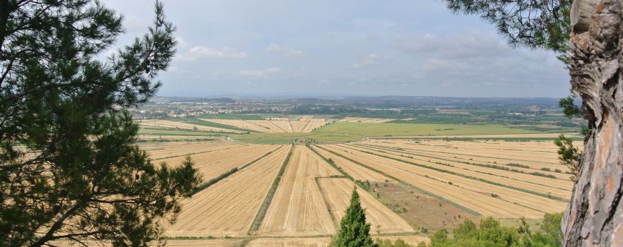 Oppidum d'Enserune