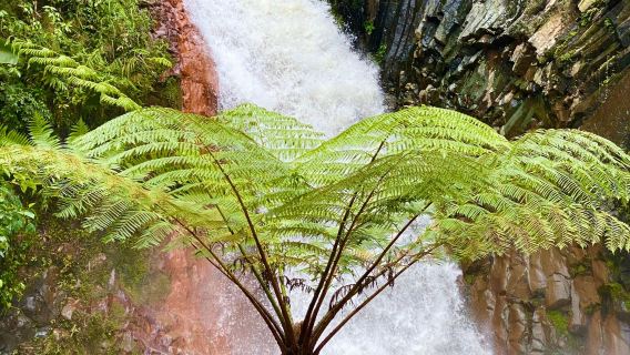 Red Rock Hot Spring