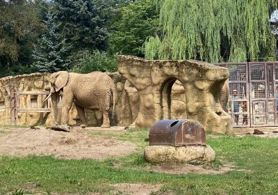Safari Park Dvur Kralove