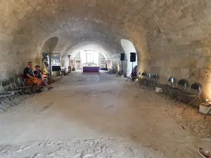 Chateau de Villebois-Lavalette