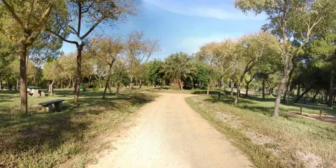 Parque de San Benito