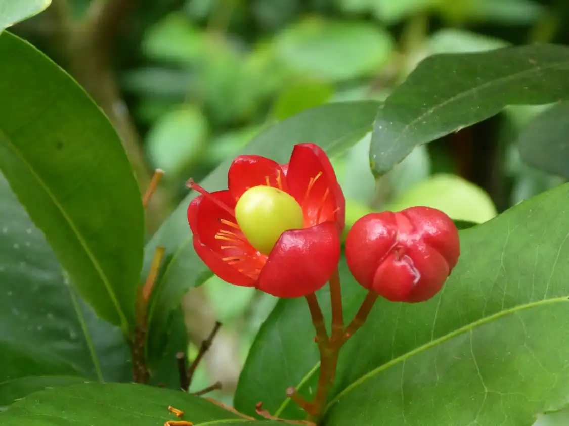 Hotel berhampiran Shalom Valley Park