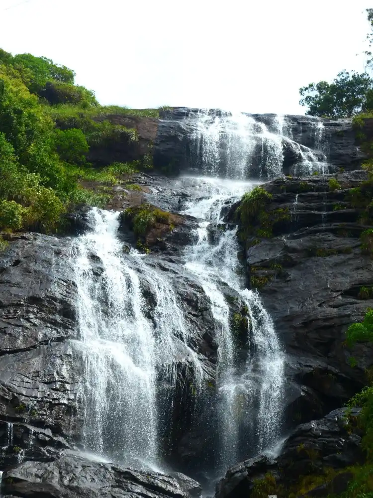 Hotels in Chinnakanal