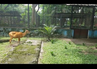 Port Harcourt