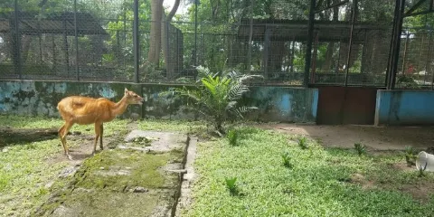 Port Harcourt Zoo
