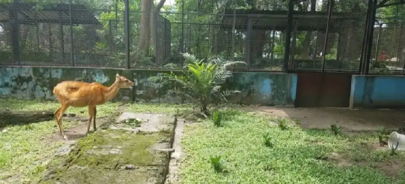 Swiss International properties in Port Harcourt