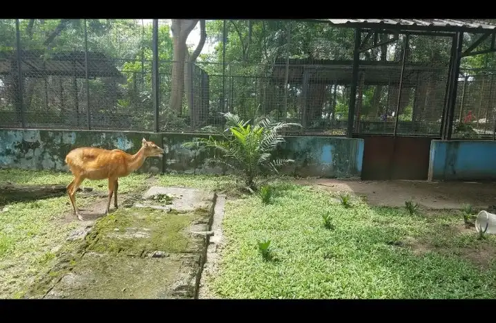 Hotels near Port Harcourt Zoo