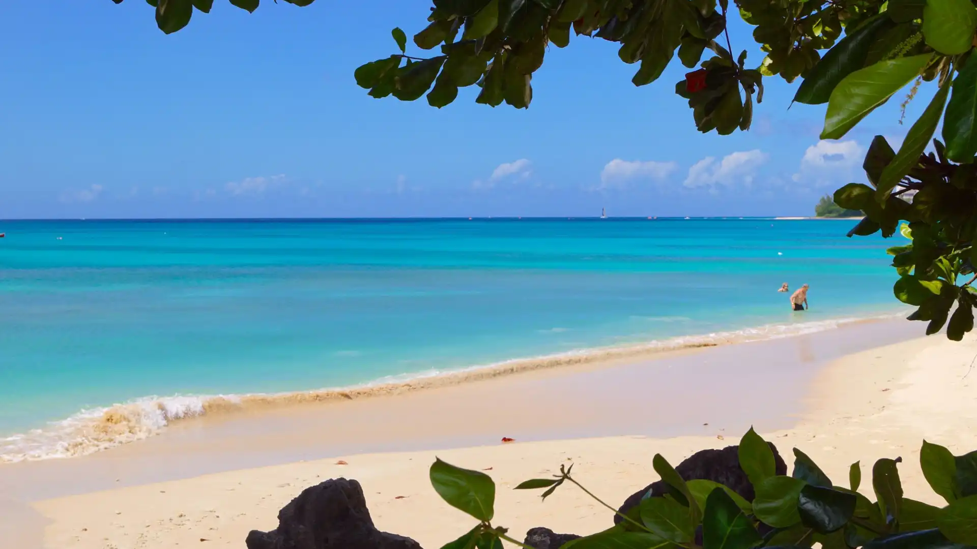 Hotels near Brandons Beach