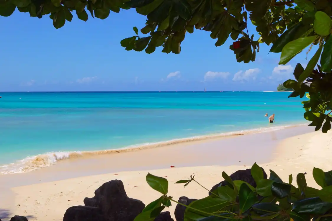 Hotels near Brandons Beach