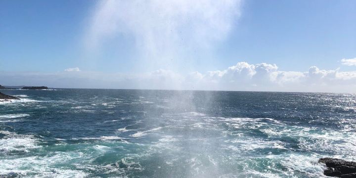Little Blowhole