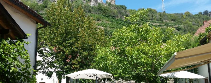 Burgruine Senftenberg