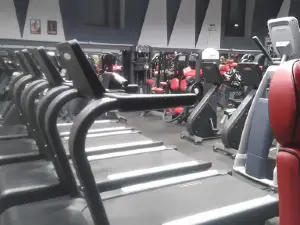 фитнес Flex