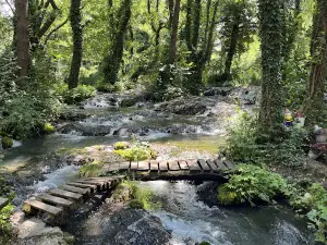 Janjski otoci