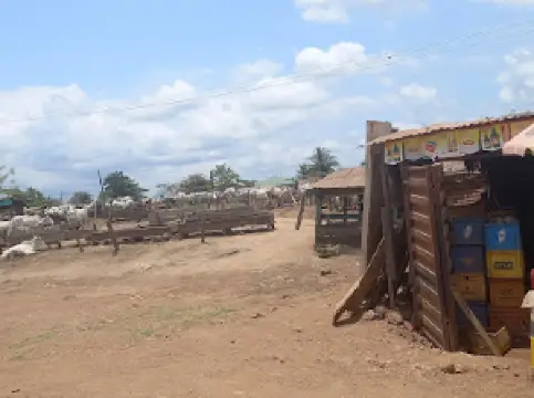 PrezzyBridal Rounda Roundabout