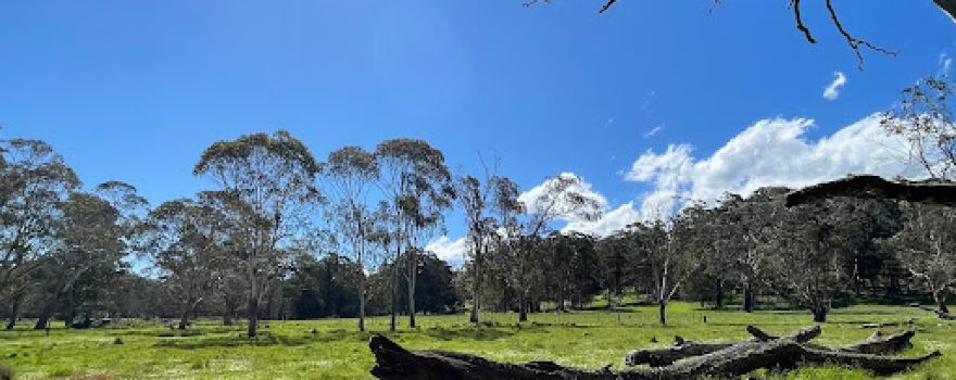 Little Styx River Camping Area