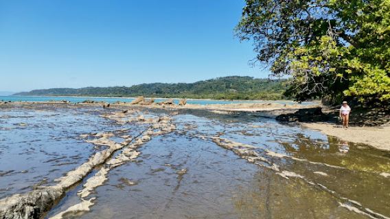 Malpais Tide pools