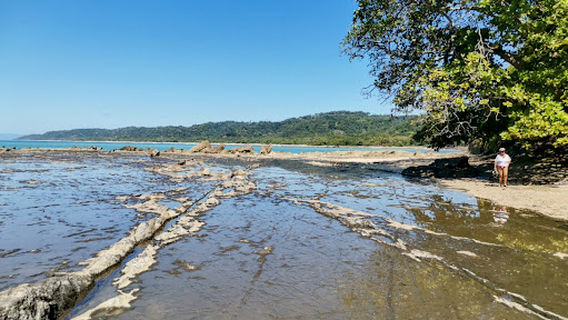 Malpais Tide pools