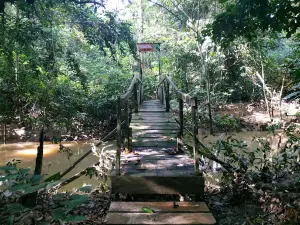 (Sangkima Jungle Park) Kutai National Park