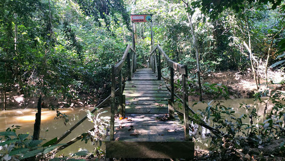 (Sangkima Jungle Park) Kutai National Park