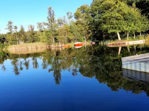 Plaża Jezioro Radziszewskie