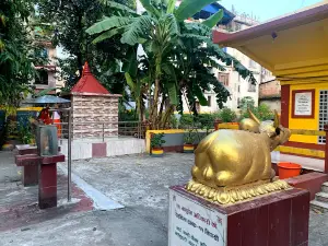 Pashupatinath Mandir - Damak