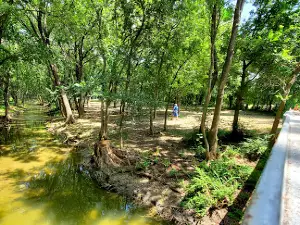 Amsler Park