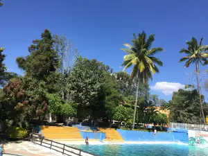 Balneario Agua Tibia