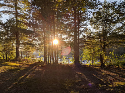 Mattawamkeag Wilderness Park Campground