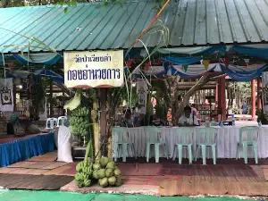 Wat Pa Wiangkam