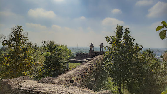 Pauni Fort