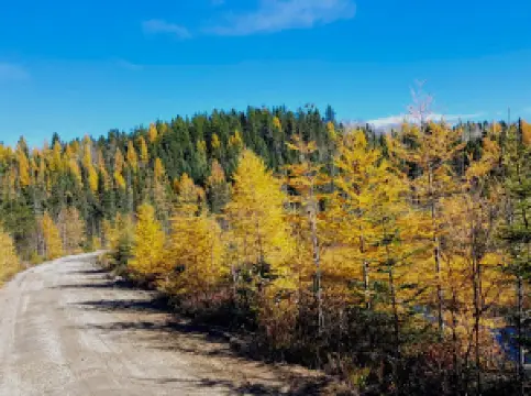 Sentier de la rivière Shipshaw