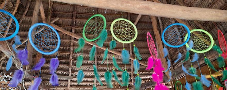 Ashaninka native community of Pampa Michi