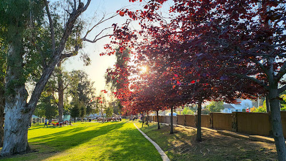 Pioneer Park