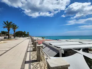CUBA LIBRE The Crazy Beach