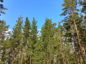 Children's holiday camp "Youth"