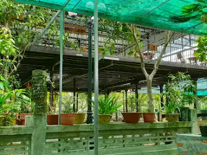 Cà Phê Vườn Xưa