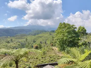 Bukit Kacapi