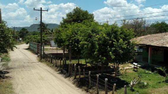Santa Cruz, Cedros, FM